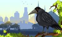 New research shows: Crows can 'read' numbers from 1 to 4