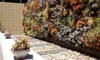 New research shows: 'Living wall' reduces heat loss from buildings by 30%