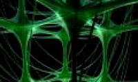 New technique for regenerating nerves