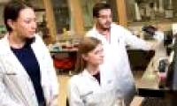 New techniques to diagnose sepsis only take a few hours