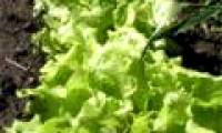New technologies help purify CO2 from the atmosphere