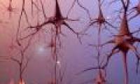 New way to diagnose neurodegenerative diseases
