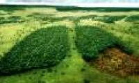 New weapon to prevent deforestation