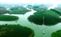 Nghe island tea island looks from above