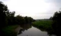 Nhue and Day rivers are heavily polluted