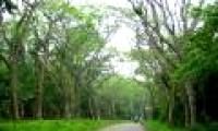 Ninh Binh built a national wildlife park