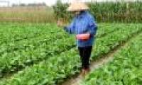 Nitrate - Danger of fertilizer abuse