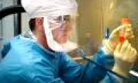 Novartis began testing the A / H1N1 flu vaccine