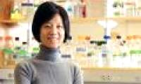NPAS4 gene regulates the ability of the brain to form new memories