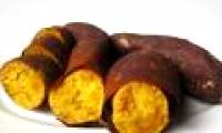 Nutritious food of the ancients