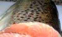 Omega-3 has no effect on cardiovascular disease