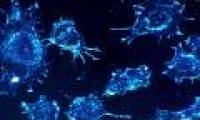 Only with this technology, cancer cells will