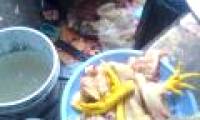 Pandemic H5N1 has returned