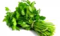Parsley limits the development of breast cancer
