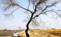 Pedestrians could not lift their feet because of the hot sun that made molten sugar in India