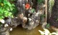 Penjing and coral reef