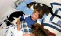 People can transmit influenza virus to pets