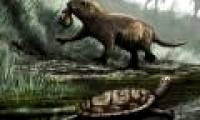 People have nighttime sleeping habits thanks to ... extinct dinosaurs?