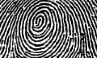 People have no fingerprints