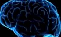 People only use 1/10 intelligence?