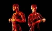 People with balanced bodies are more attractive in the eyes of the opposite sex