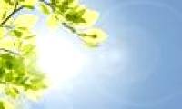 Perhaps you will have to be jealous when you know that plants have a certain kind of genes to fight heat