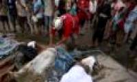 Philippines: Bopha storms killed 900 people