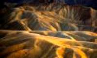 Photo nature won the international award
