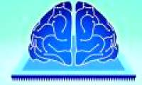 Physicists create a device that can 'forget memories'