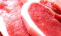 Pig sedative injections: What is harmful?