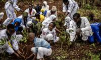 Planting trees in the wrong place will heat the planet