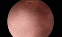 Pluto adds 'brother'
