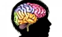Poverty can affect brain development