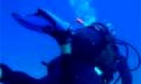 Practice diving to get calm