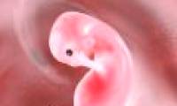 Pregnant women and chemicals