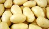 Preserving potatoes with dry sand