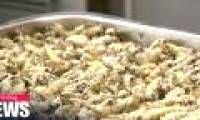 Prevention and treatment of Alzheimer's disease thanks to dried silkworm powder?