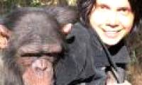 Primate animals also know how to laugh