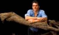 Primitive crocodiles used to run on land like horses