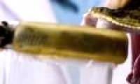 Process of extracting venomous snake venom to make serum