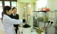 Processing brain edema from mushrooms and seaweed