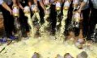 Producing bricks from toxic milk to protect the environment