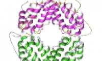 Production of herbal anticancer drugs