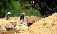 Production of microbial fertilizer from cassava residue
