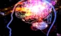 'Prophecy' plans to change the world in 2050