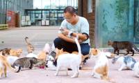 Psychology: Raising too many animals is a sign of mental disorder!