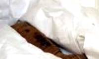 Puppy mummy in the crypt