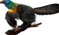 Rainbow dinosaurs have colorful fur