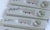 Rapid test equipment for leprosy