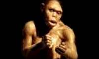 Rare discovery of prehistoric human bones